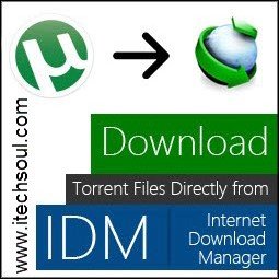 Download torrent file with idm more than 1gb free