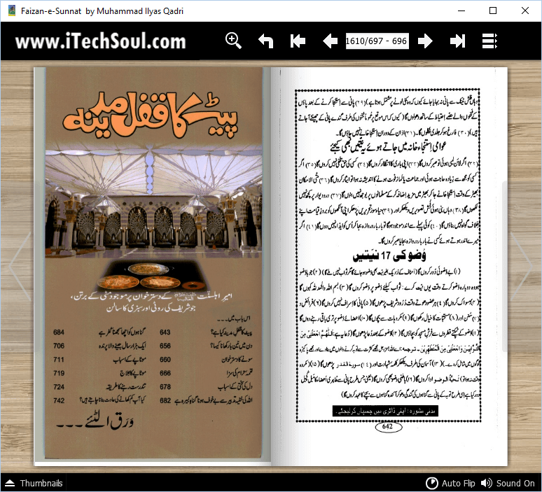 Faizan-e-Sunnat in Urdu (3)