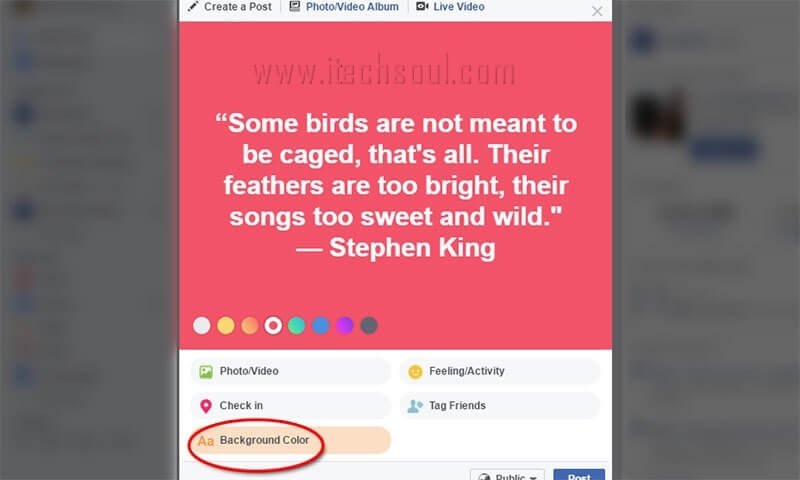 Facebook Introduced Colorful Text
