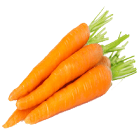 Carrot