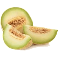 Honeydew melon