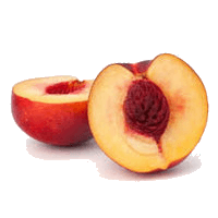 Nectarine