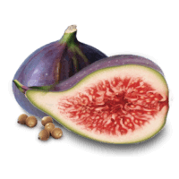 figs