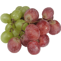 grape