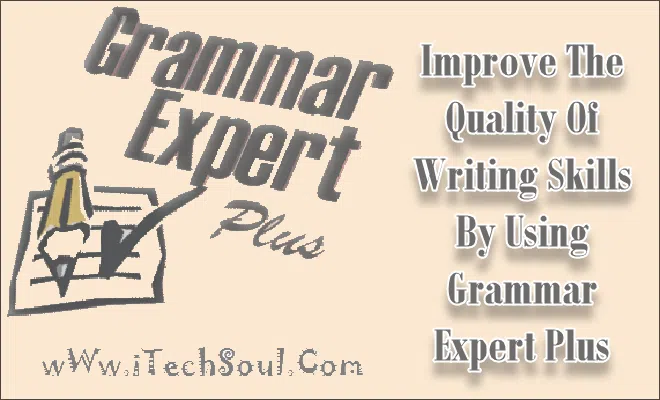 Grammar-Expert-