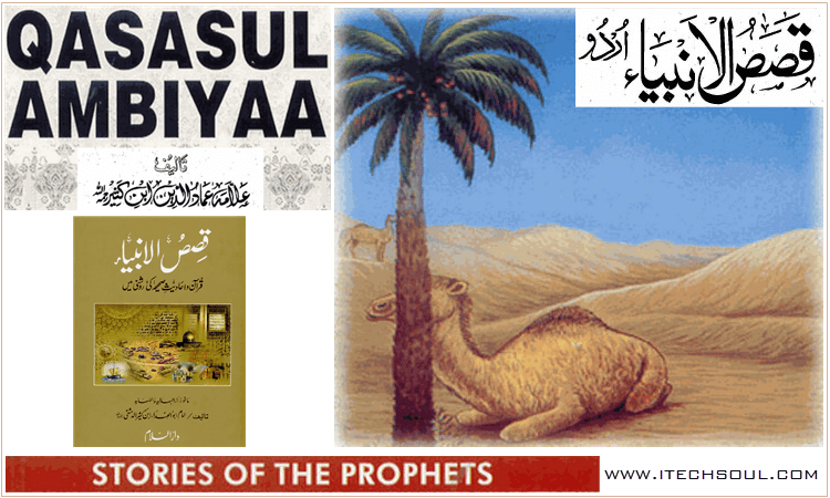 Flip Page Qasas ul Anbiya By Imam Ibn E Kaseer Stories Of Holy Prophets