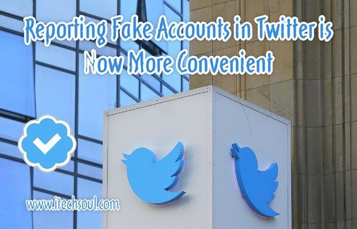 Reporting Fake Accounts in Twitter
