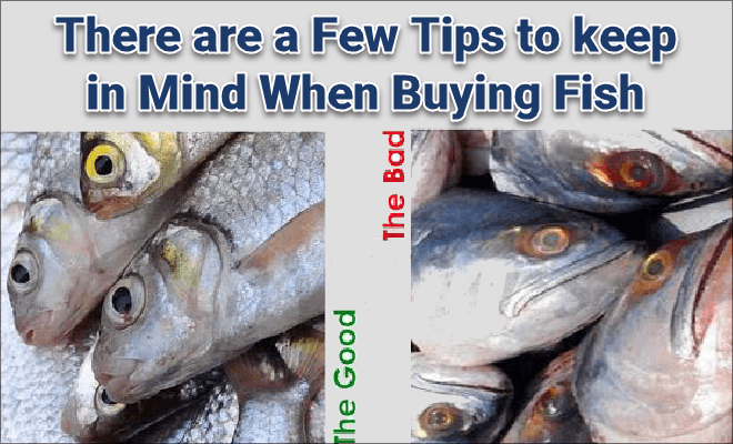 Tips to keep good fishes