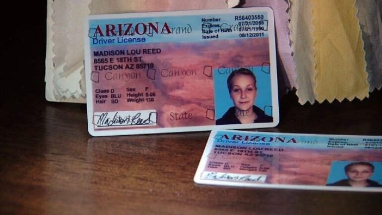 The Best Fake ID Websites in 2022