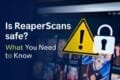 Graphic discussing the safety of reaper scans and essential information for users.