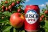 A can of Busch Apple cider, featuring a vibrant apple design, sits on a wooden table with a blurred outdoor background.