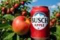 A can of Busch Apple cider, featuring a vibrant apple design, sits on a wooden table with a blurred outdoor background.
