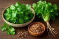 Coriander seeds scattered next to bright green cilantro, emphasizing the aromatic herbs' connection in cooking.