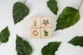 Wooden blocks featuring eco symbols on a white background, representing sustainability and environmental awareness by Vital Resources.