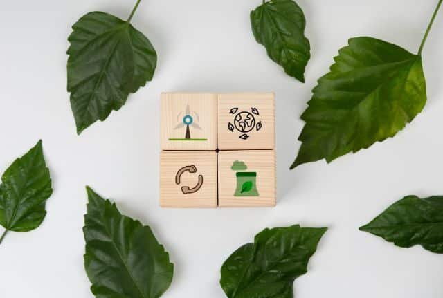 Wooden blocks featuring eco symbols on a white background, representing sustainability and environmental awareness by Vital Resources.