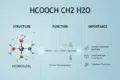 Visual explanation of HCOOCHCH$_2$H$_2$O (ethyl formate and water), covering its structure, functions (solvent, flavoring), and importance in industries like chemical synthesis, food, and fragrance.