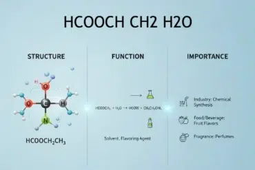 Visual explanation of HCOOCHCH$_2$H$_2$O (ethyl formate and water), covering its structure, functions (solvent, flavoring), and importance in industries like chemical synthesis, food, and fragrance.