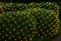 A lush green hedge covered in warm, twinkling lights creates a magical and inviting atmosphere in a darkened outdoor setting.