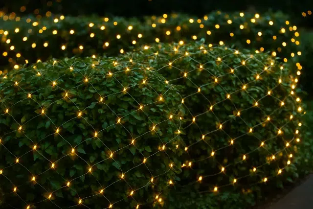 A lush green hedge covered in warm, twinkling lights creates a magical and inviting atmosphere in a darkened outdoor setting.