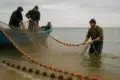 Three fishermen pulling a fishing net from the water, with a blue boat anchored nearby, under a cloudy sky.
