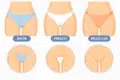 Illustration showing Bikini Wax Styles: Bikini, French, and Brazilian. Each style is depicted with an outline and labeled below the image.