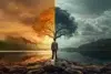 A person stands facing a split landscape. The left side is warm, with an orange sky and autumn tree. The right is cool, with a stormy sky and green tree.
