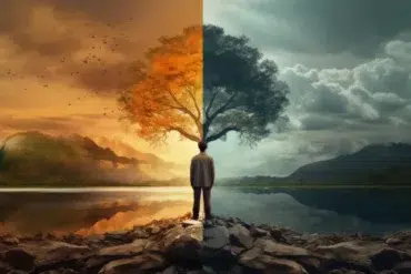 A person stands facing a split landscape. The left side is warm, with an orange sky and autumn tree. The right is cool, with a stormy sky and green tree.