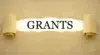 The word 'Grants' is revealed by peeling back a layer of beige paper, symbolizing discovery and opportunity. The background is a smooth, muted gold.