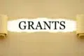 The word 'Grants' is revealed by peeling back a layer of beige paper, symbolizing discovery and opportunity. The background is a smooth, muted gold.