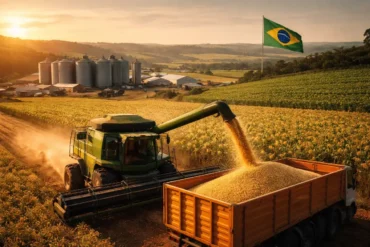 Maior Fazenda Do Brasil mega farm infrastructure, cattle, and internal roads in Brazil