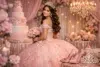 Pink Quince Dresses in blush tone ball gown with glitter tulle, corset bodice, and 3D floral appliqués styled with silver accessories.