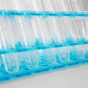Clear empty test tubes held in a blue plastic rack, arranged in rows on a white surface in a laboratory setting.