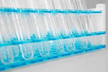 Clear empty test tubes held in a blue plastic rack, arranged in rows on a white surface in a laboratory setting.