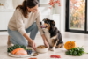 Healthy dog eating nutritious food from trusted Canadian Dog Food Brands