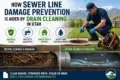 How Sewer Line Damage Prevention is Aided by Drain Cleaning in Utah." Left side: clogged pipe with roots. Right side: clean pipe, worker cleaning drains. Icons highlight benefits like preventing clogs and costly repairs. Background: mountains and houses. Text promotes keeping Utah’s sewer systems healthy.