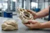 Dough Moulding Compound used in modern manufacturing for molded composite industrial parts