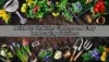 Colorful flowers, gardening tools, watering can, and soil arranged around text about mulch for healthier gardens and easy landscaping.