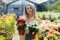 Person in a greenhouse holding two potted flowering plants, one with red flowers and the other with white flowers.