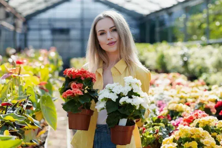 Person in a greenhouse holding two potted flowering plants, one with red flowers and the other with white flowers.