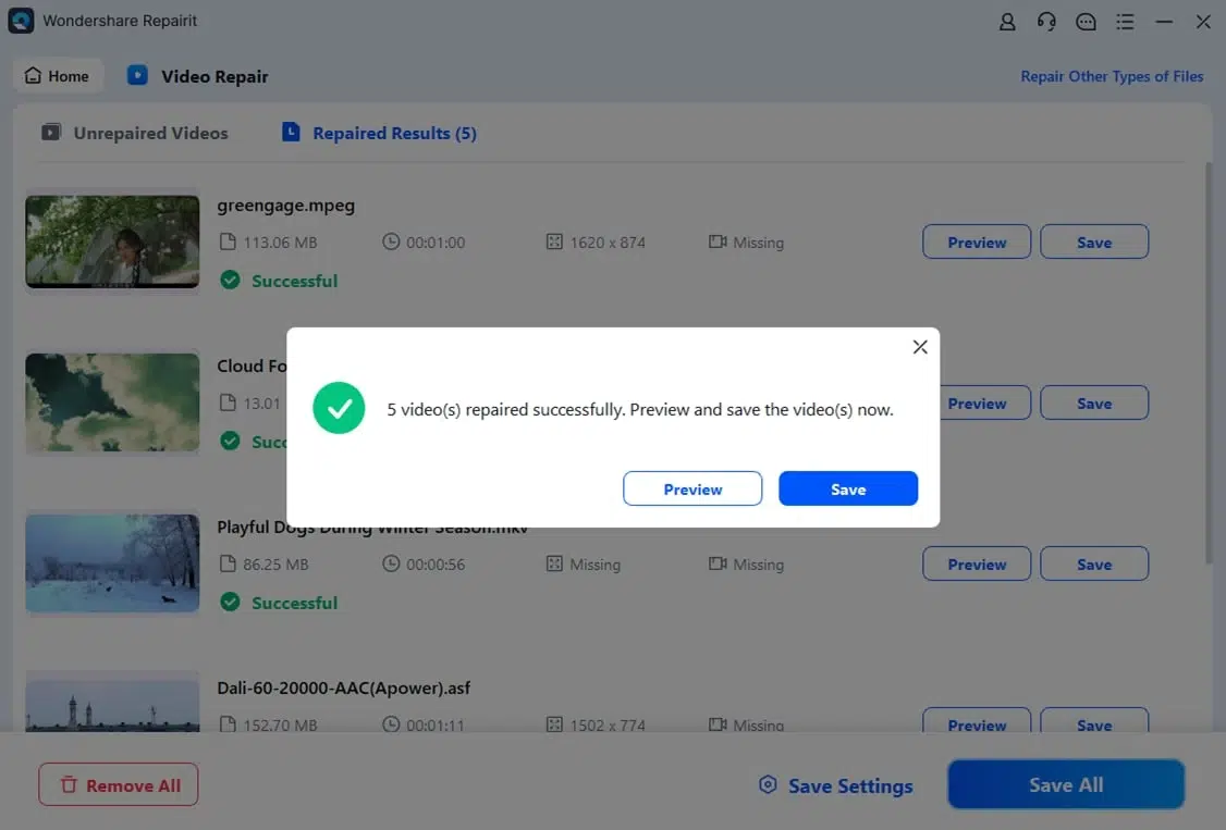 preview and save videos