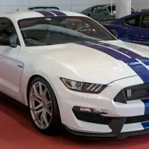 White Ford Mustang Shelby GT350 with blue racing stripes displayed indoors on a red floor alongside other cars.