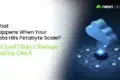 Text about challenges of data at petabyte scale and cloud object storage, with a digital cloud and connected data nodes graphic.