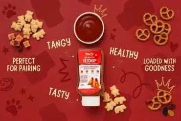 Bottle of healthy ketchup with a bowl of sauce, teddy bear snacks, and pretzels on a red background. Words: "Tangy," "Tasty," "Healthy," "Perfect for Pairing."