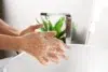 Person washing hands with soap under running water at a modern sink with a green plant in the background.