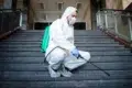 A person in protective gear, including a mask, kneels on stairs indoors, spraying disinfectant from a green backpack sprayer. The setting is calm and serious.