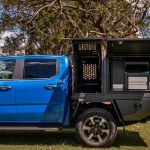 Blue pickup truck with black utility bed featuring open storage compartments under a large tree in a grassy area.