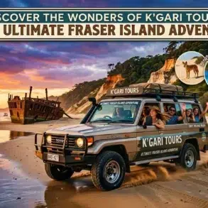 Four-wheel drive vehicle with people driving on a beach next to a shipwreck with inset images of a dingo and swimmers.