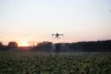 A agro drone hovers over a sunflower field at sunset, spraying mist. The sky glows with orange and pink hues, creating a tranquil rural scene.