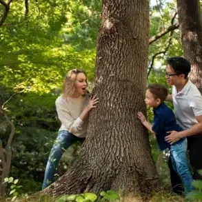 Family playing hide-and-seek around a large tree in a sun-dappled forest.