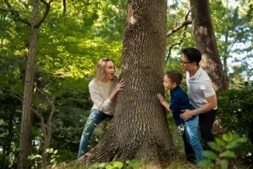 Family playing hide-and-seek around a large tree in a sun-dappled forest.